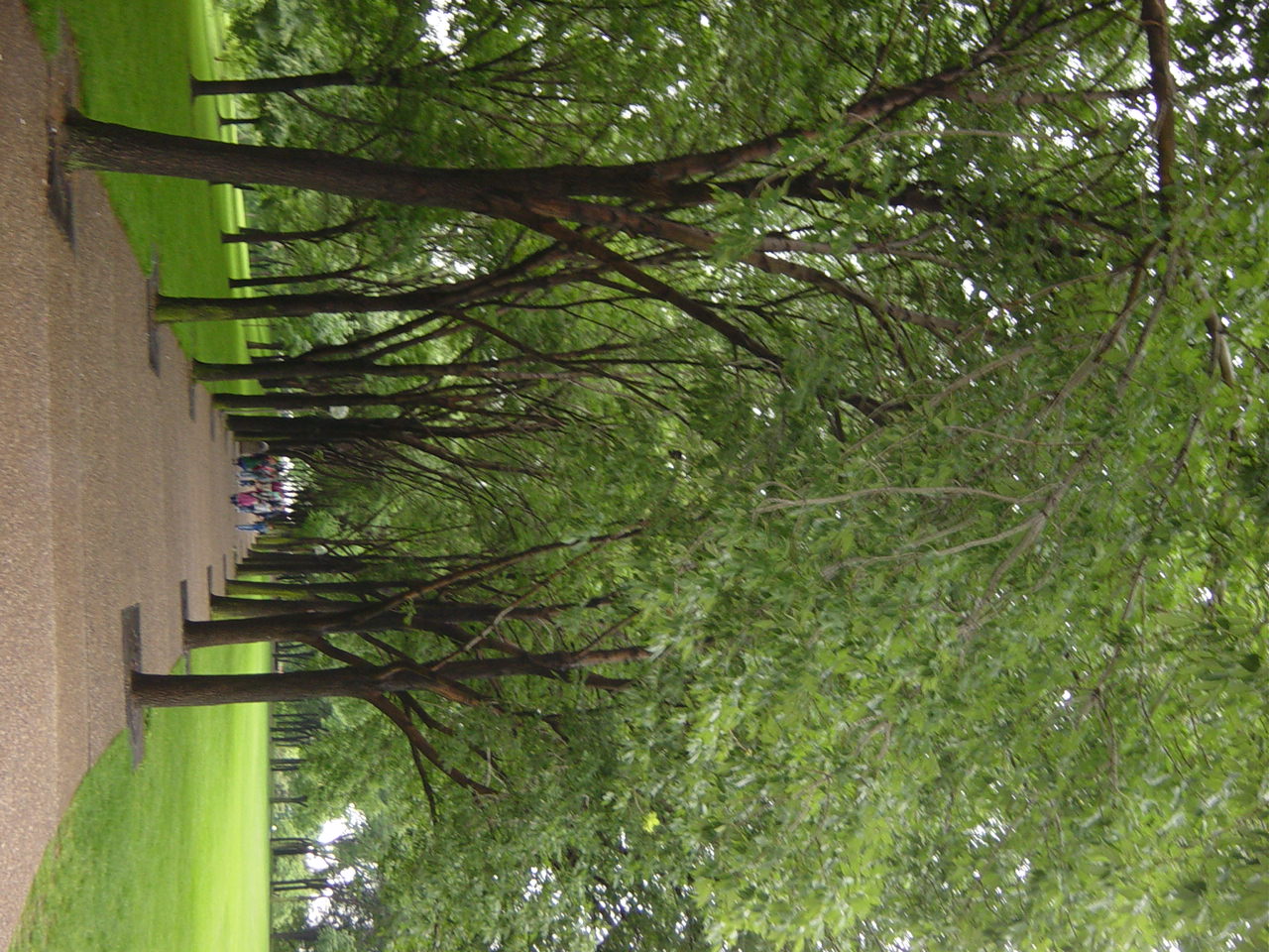 DSC01774.JPG