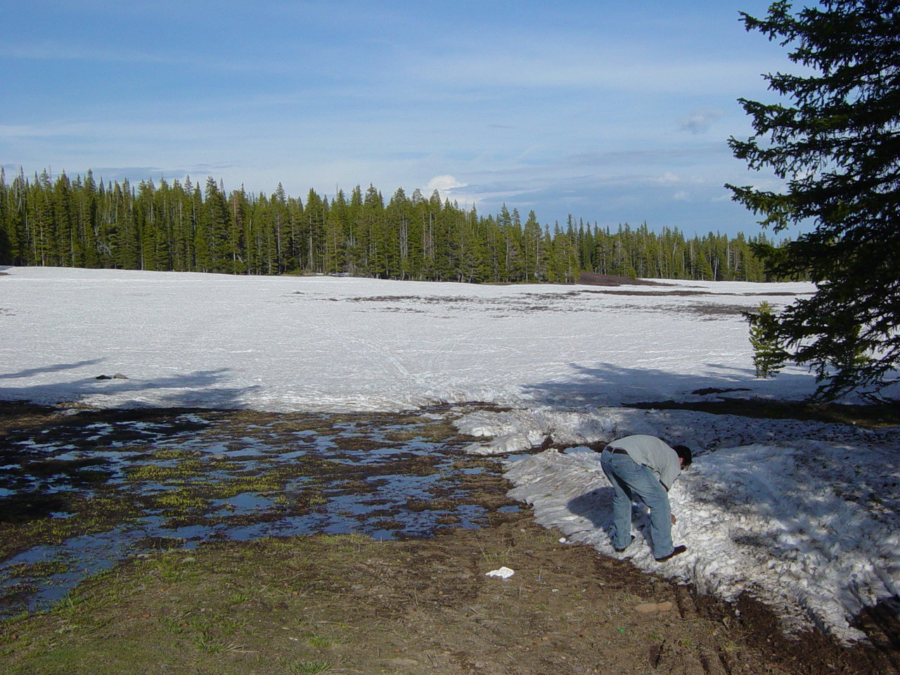 DSC01797.JPG