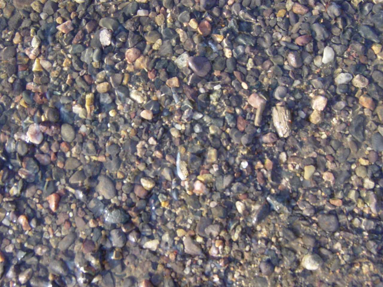 DSC01802.JPG
