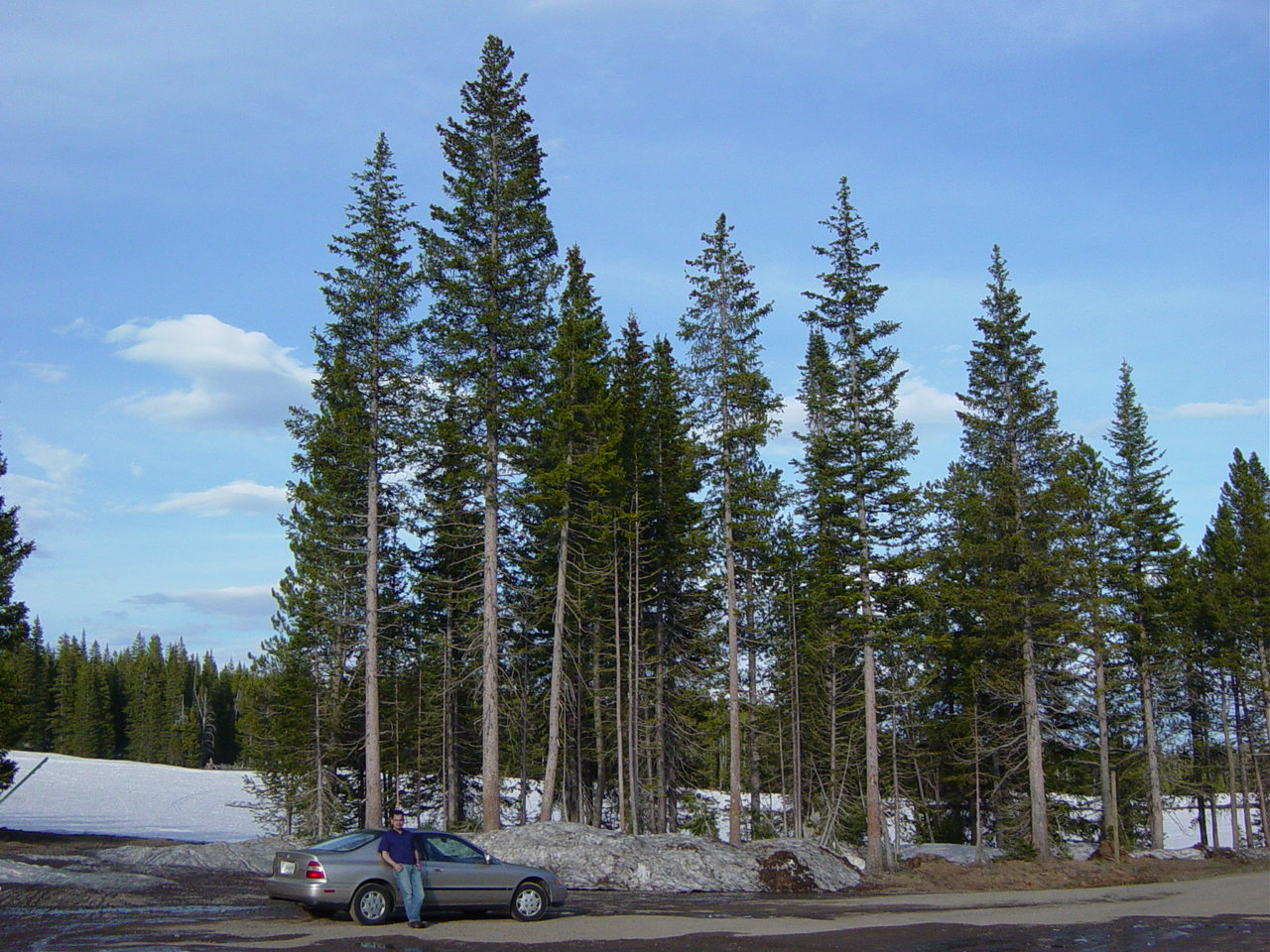 DSC01810.JPG