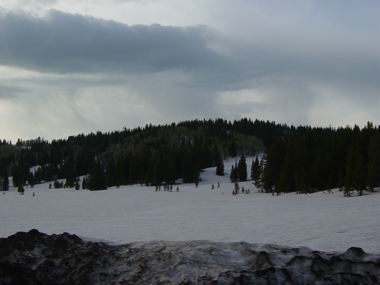 DSC01811.JPG