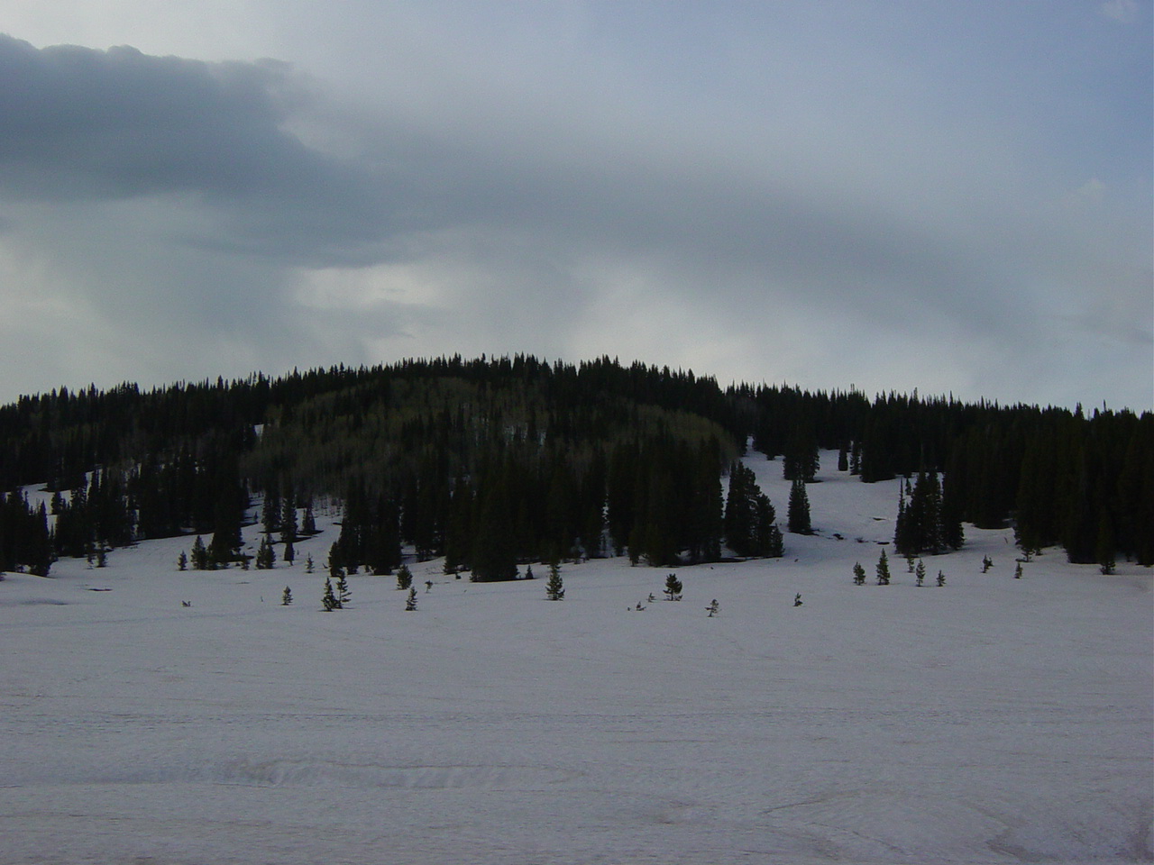 DSC01812.JPG