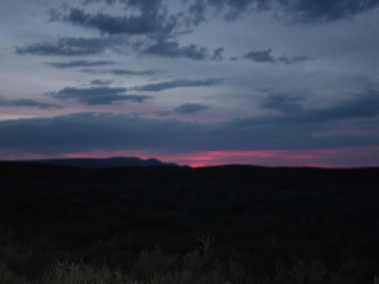 DSC01828.JPG