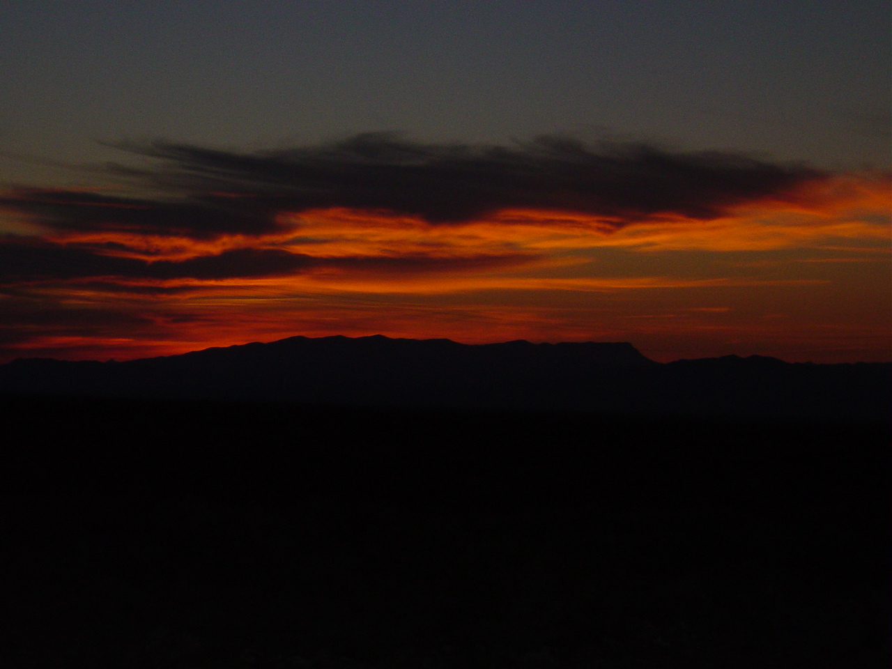 DSC01856.JPG