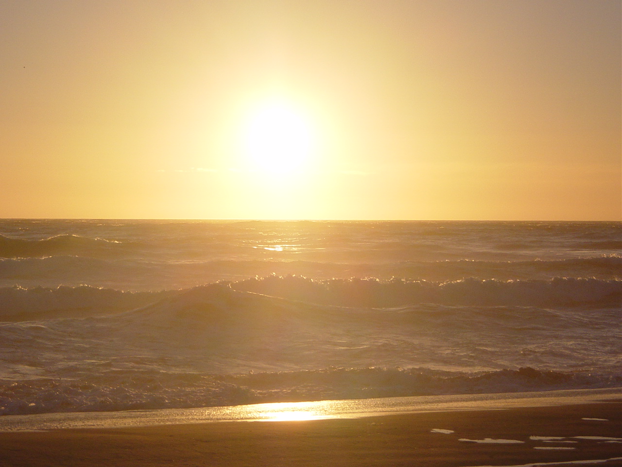 DSC02015.JPG