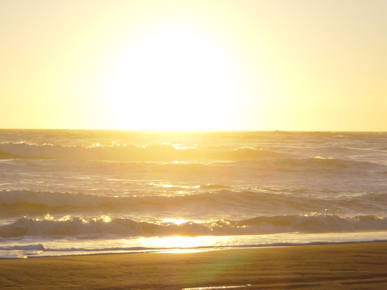 DSC02016.JPG