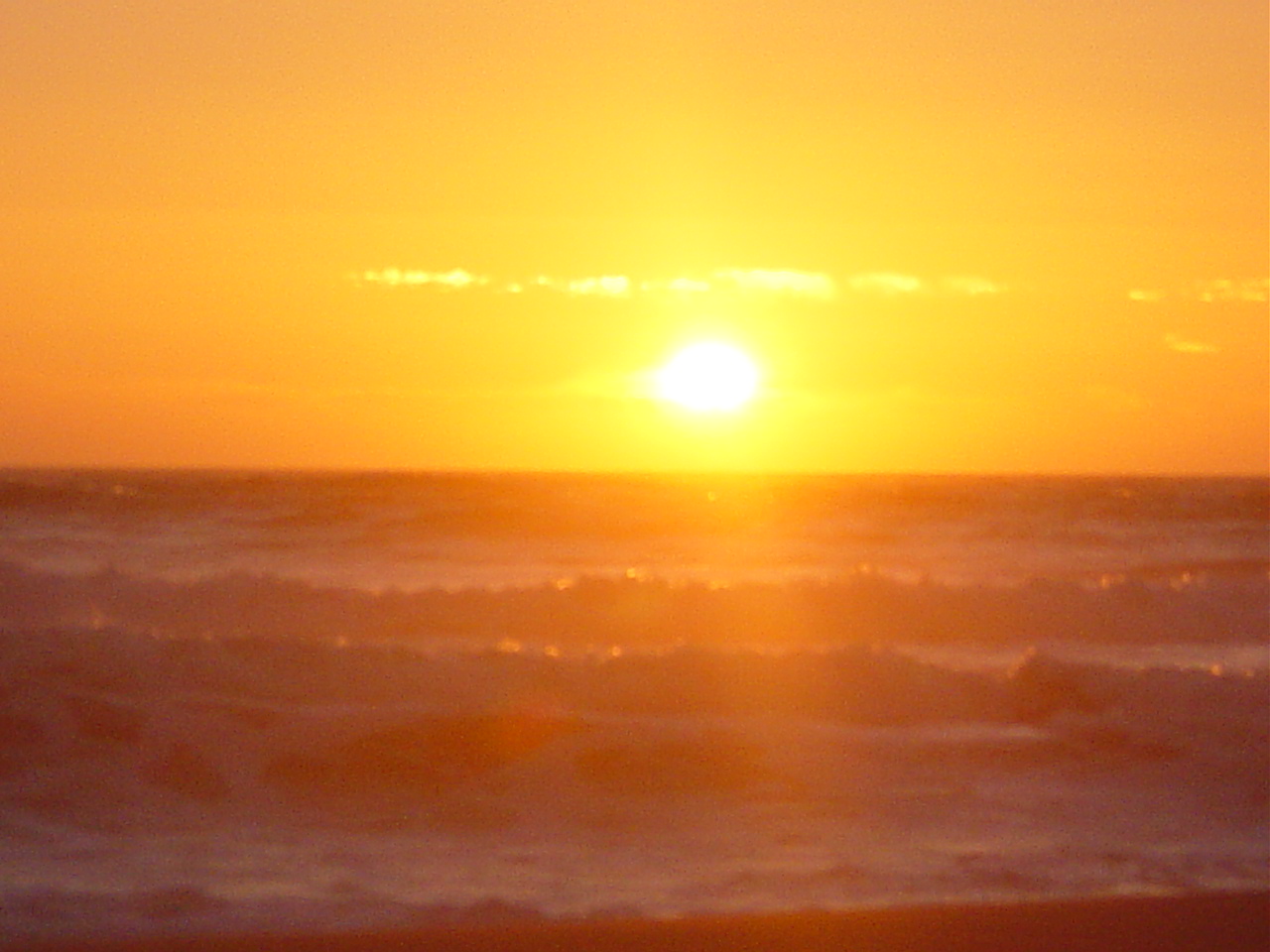 DSC02028.JPG