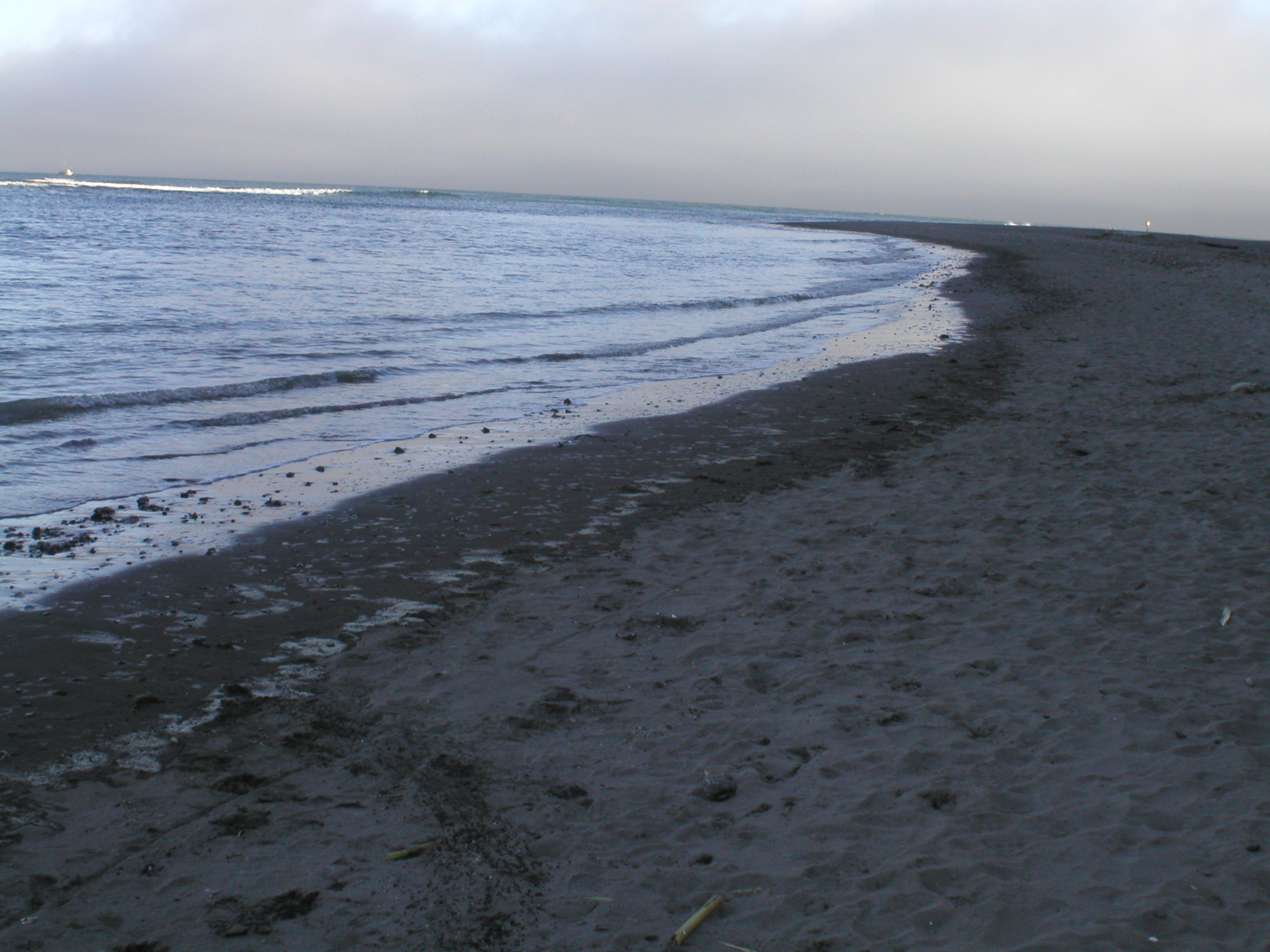 P1010023.JPG