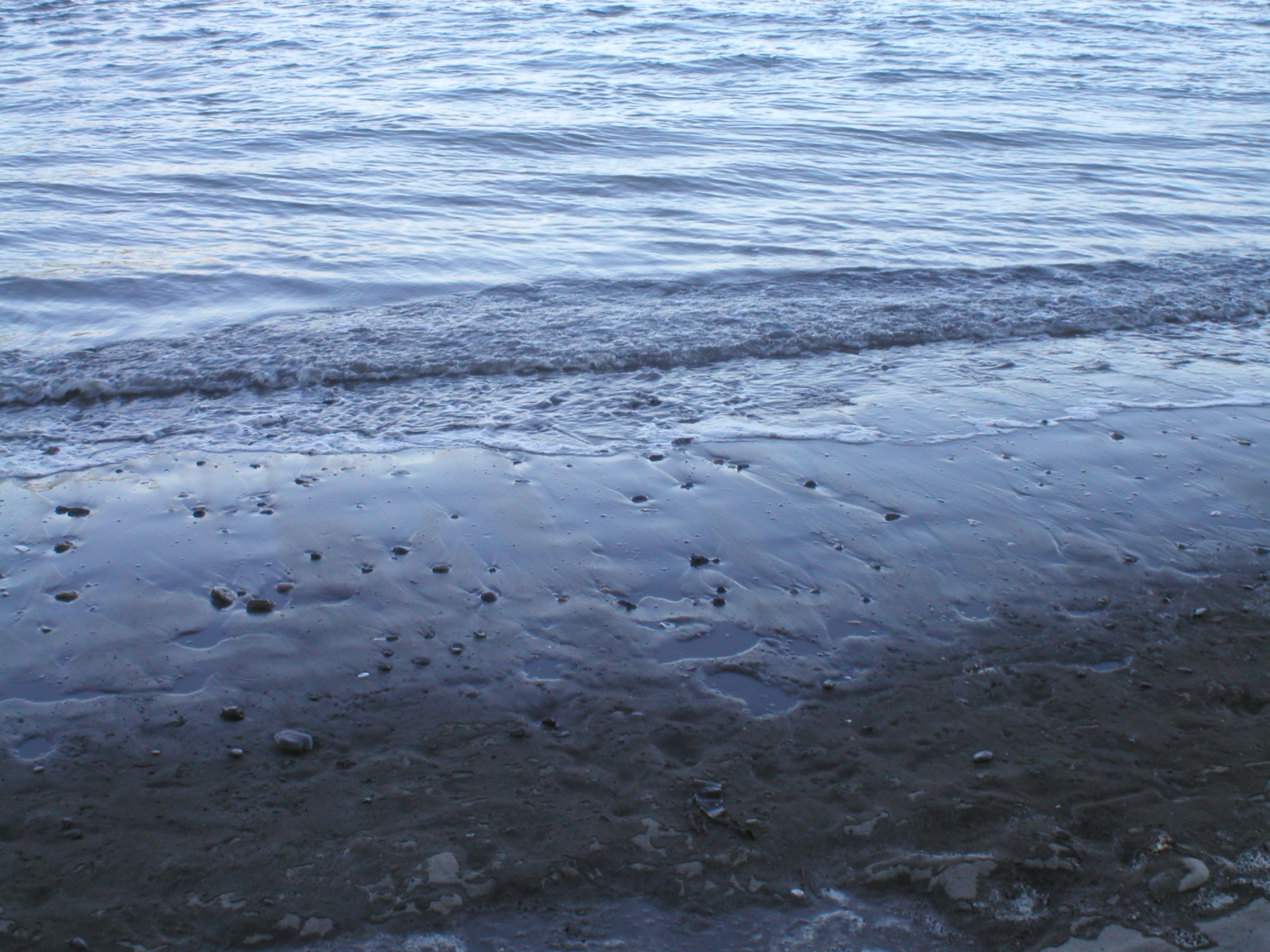 P1010025.JPG