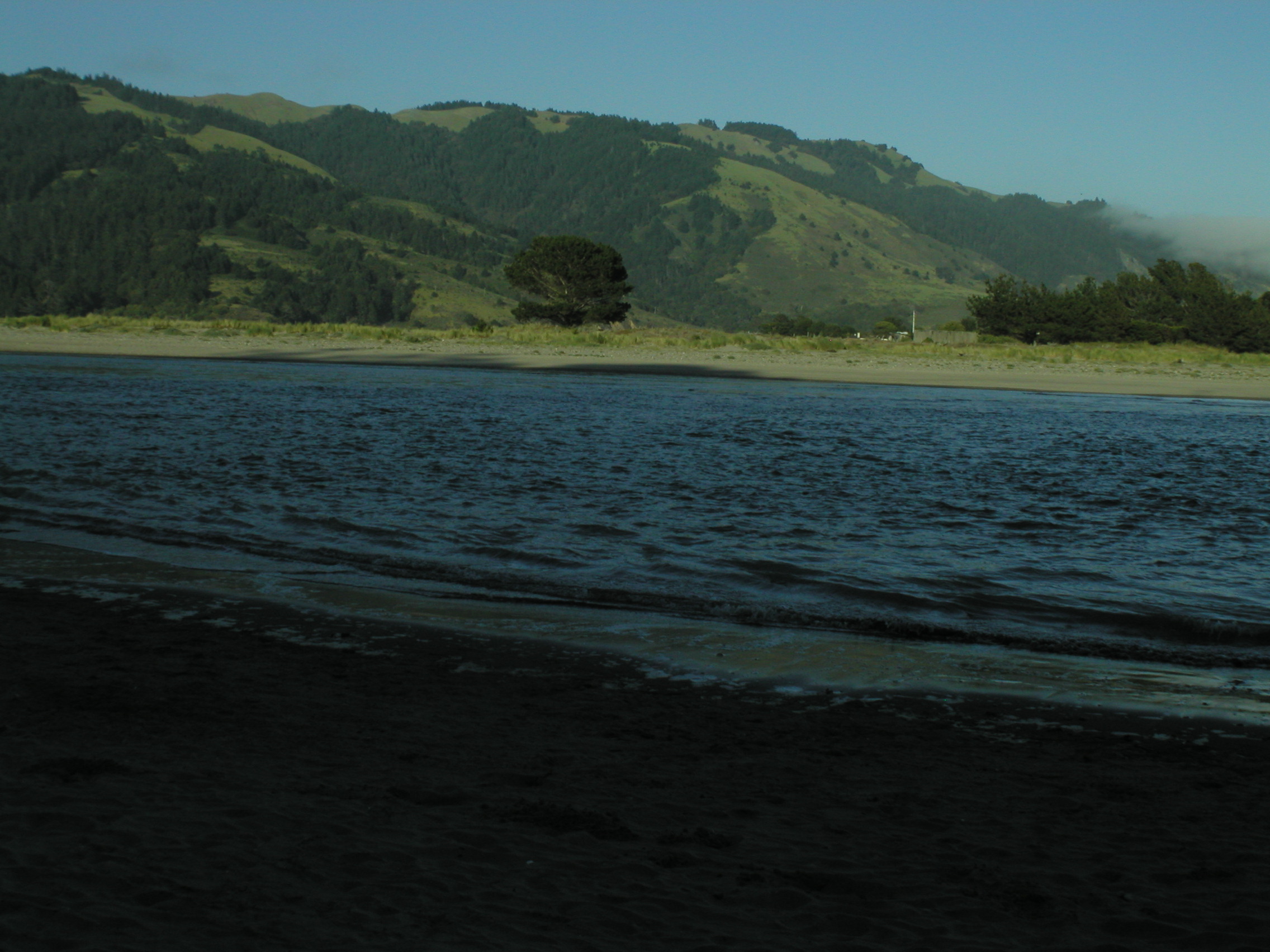 P1010027.JPG