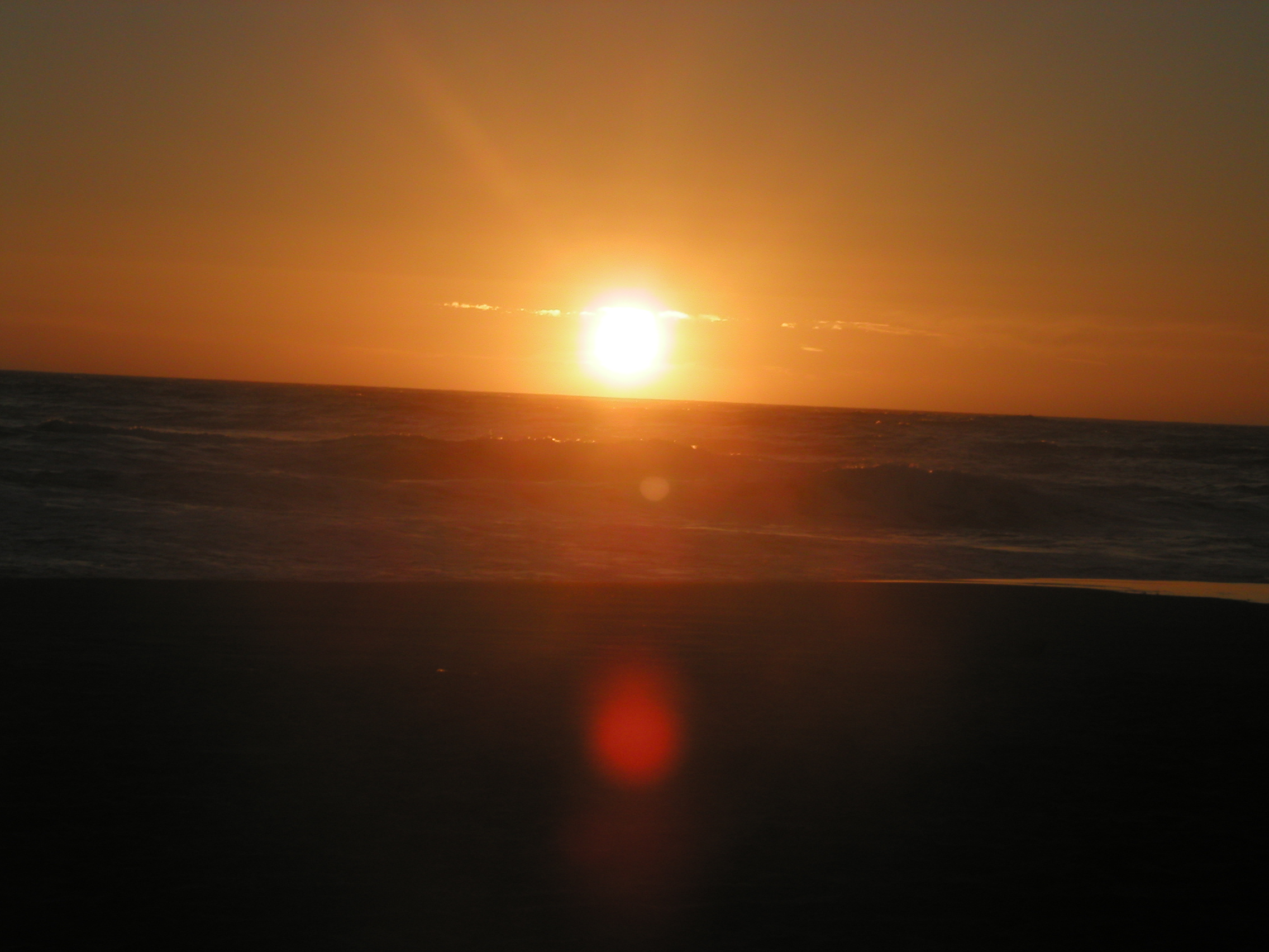 P1010066.JPG