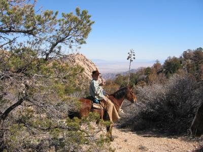 Lynn with desert backdrop