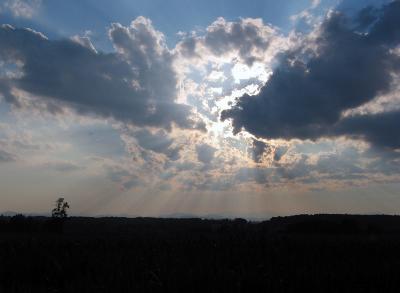 151-5147_IMG.jpg