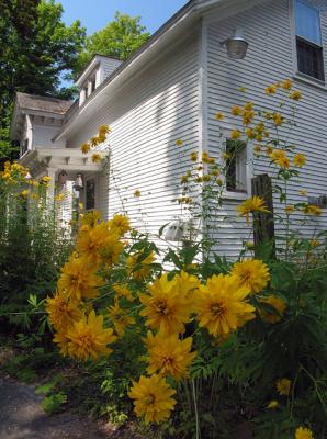 Back Of Inn
