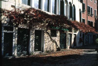 cafe-with-leaves.jpg