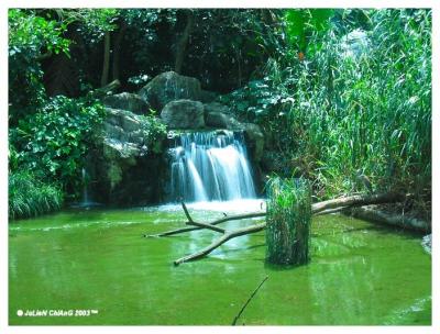 Mini Waterfall