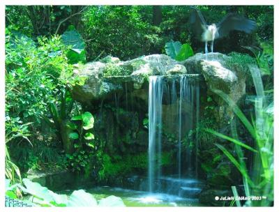 Mini Waterfall