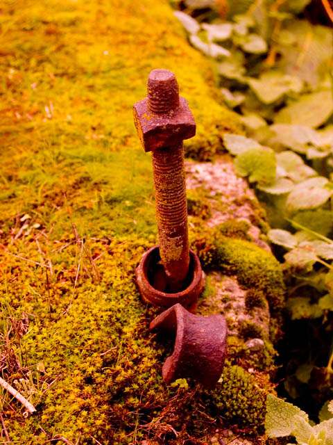 Old Bolt