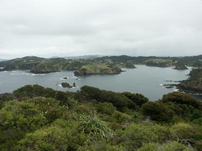 Tutukaka harbour from the lighthouse