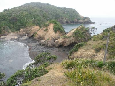Tutukaka - on route to the lighthouse