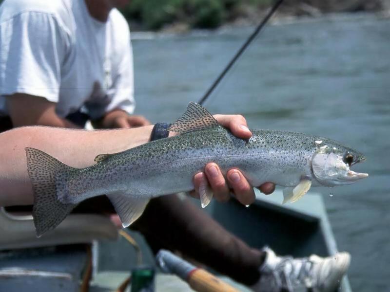 1994 - 2000, scanned from slides