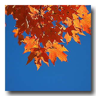 u23/kleaf/upload/35096501.24b.jpg