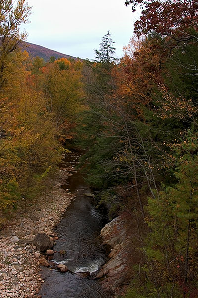 Stream, from inside bridge