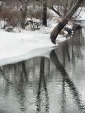 flatbrook reflection