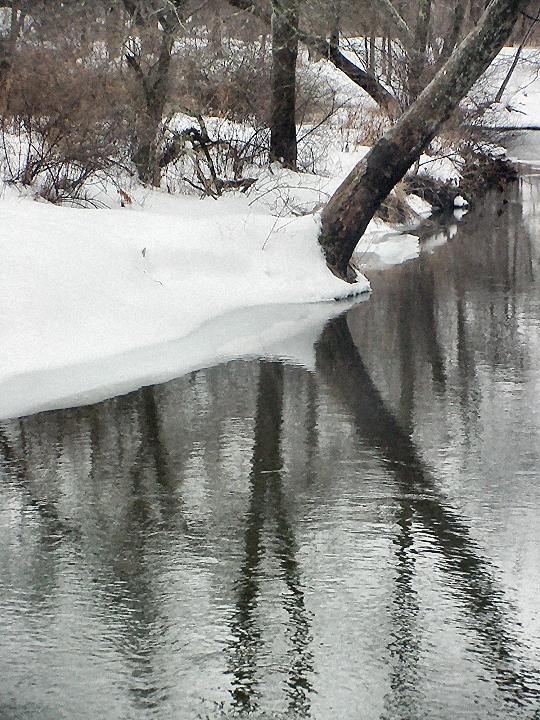 flatbrook reflection