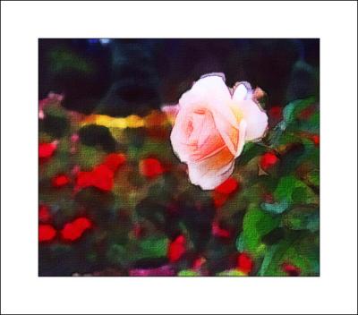 Rose Garden (Seattle)