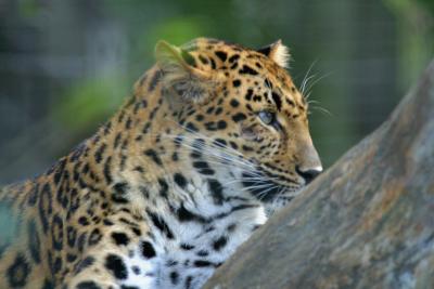 IMG_4864.jpg