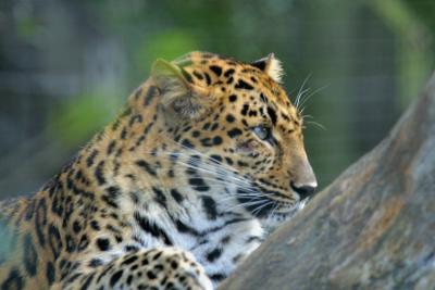 IMG_4865.jpg