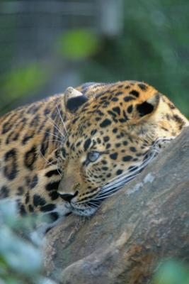 IMG_4878.jpg