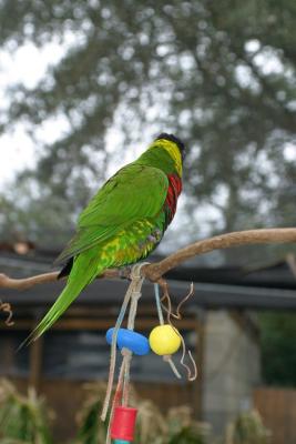 IMG_4981.jpg