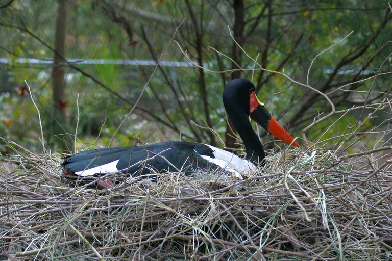 IMG_4765.jpg