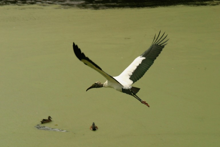 IMG_4811.jpg