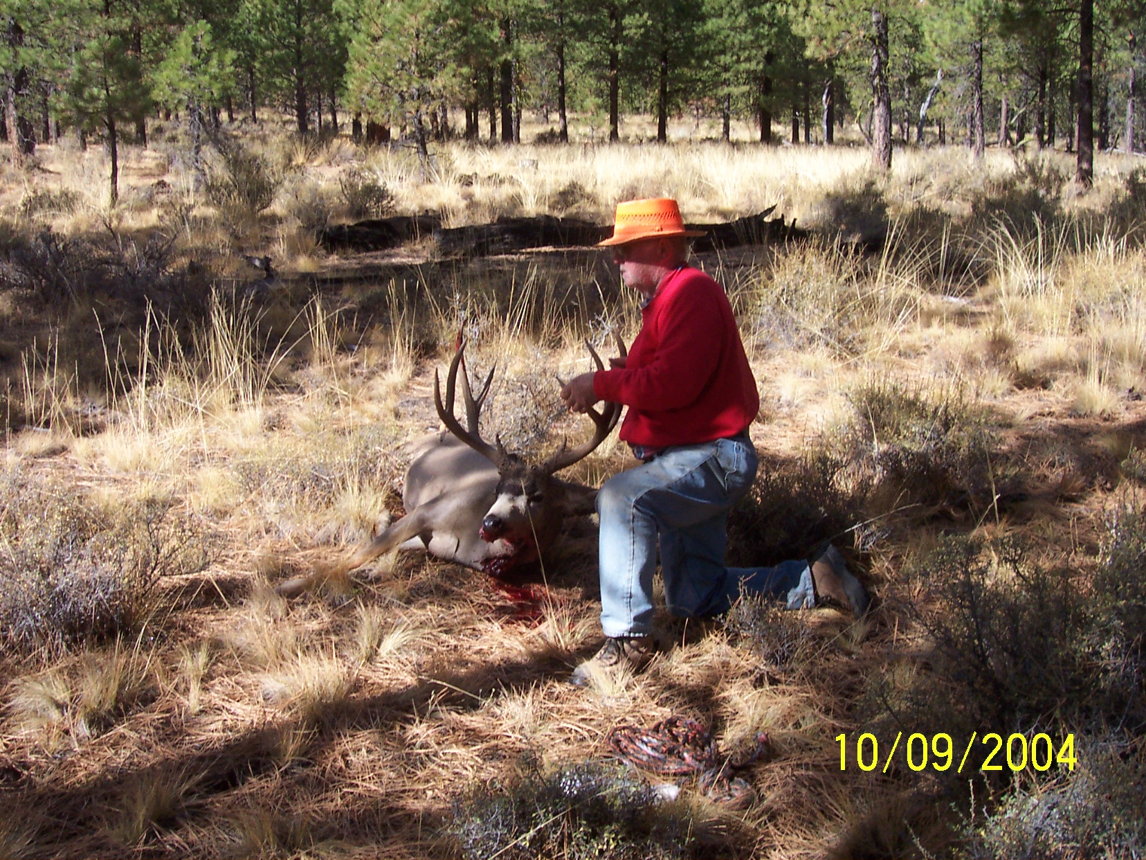 Hunting2004 192.jpg