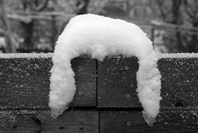 Moustached fence