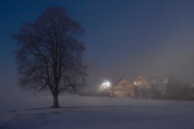 A Gift to Marco: Morning in Waldstatt