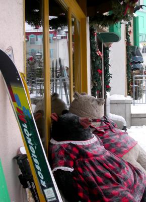Mama & Papa Bear exhausted...