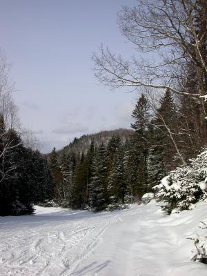 Easy trail