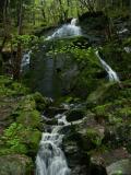 Waterfall at the mount Floyen