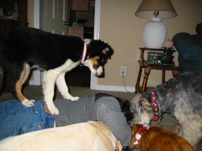 So much for my girls protecting me!
