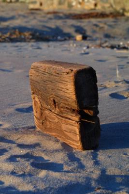 Driftwood001.jpg