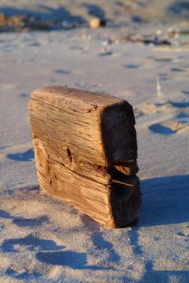 Driftwood002.jpg