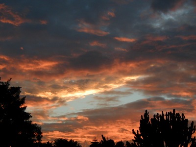 u23/madhatter/upload/11547364.Pa010012b.jpg