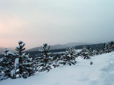 Sunset while Snowmobiling