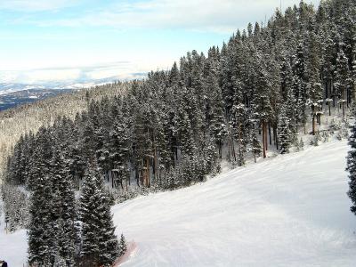 on the Slopes
