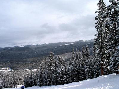on the Slopes