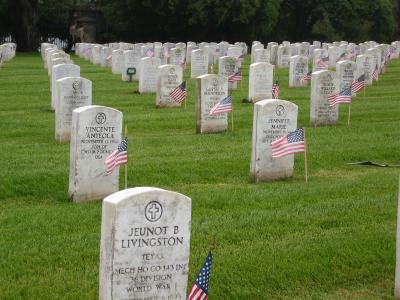 1149w.jpg